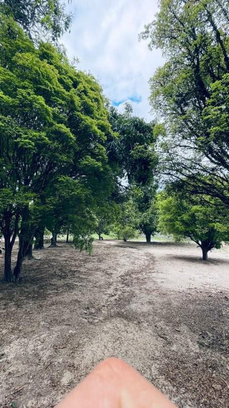 Fazenda, Centro, 0 Quarto, 0 Vaga