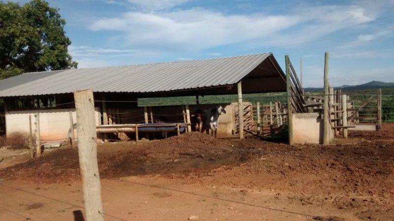 Fazenda, Centro, 4 Quartos, 0 Vaga, 1 Suíte