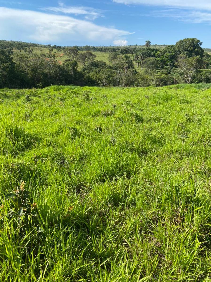 Fazenda, Centro, 4 Quartos, 2 Vagas