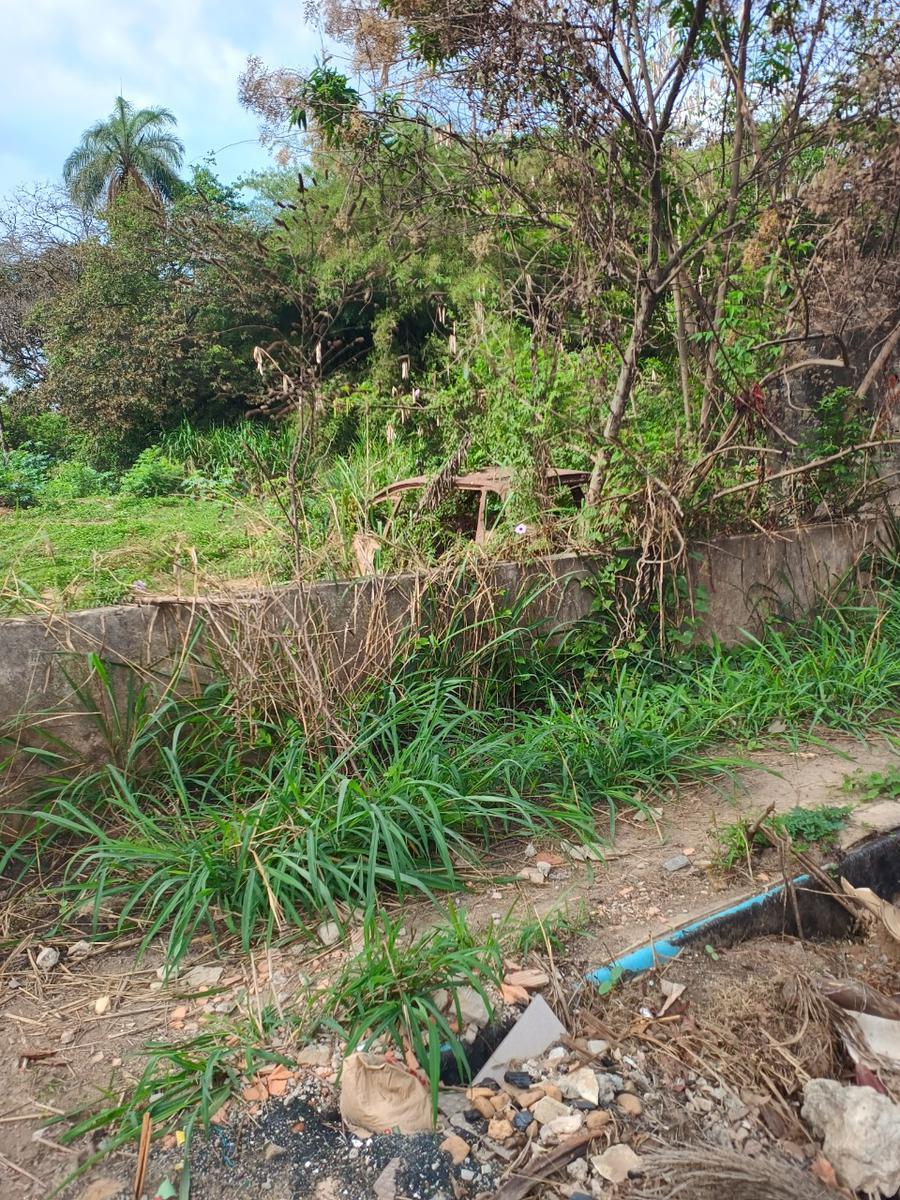 Lote, Quintas Coloniais, 0 Quarto, 0 Vaga