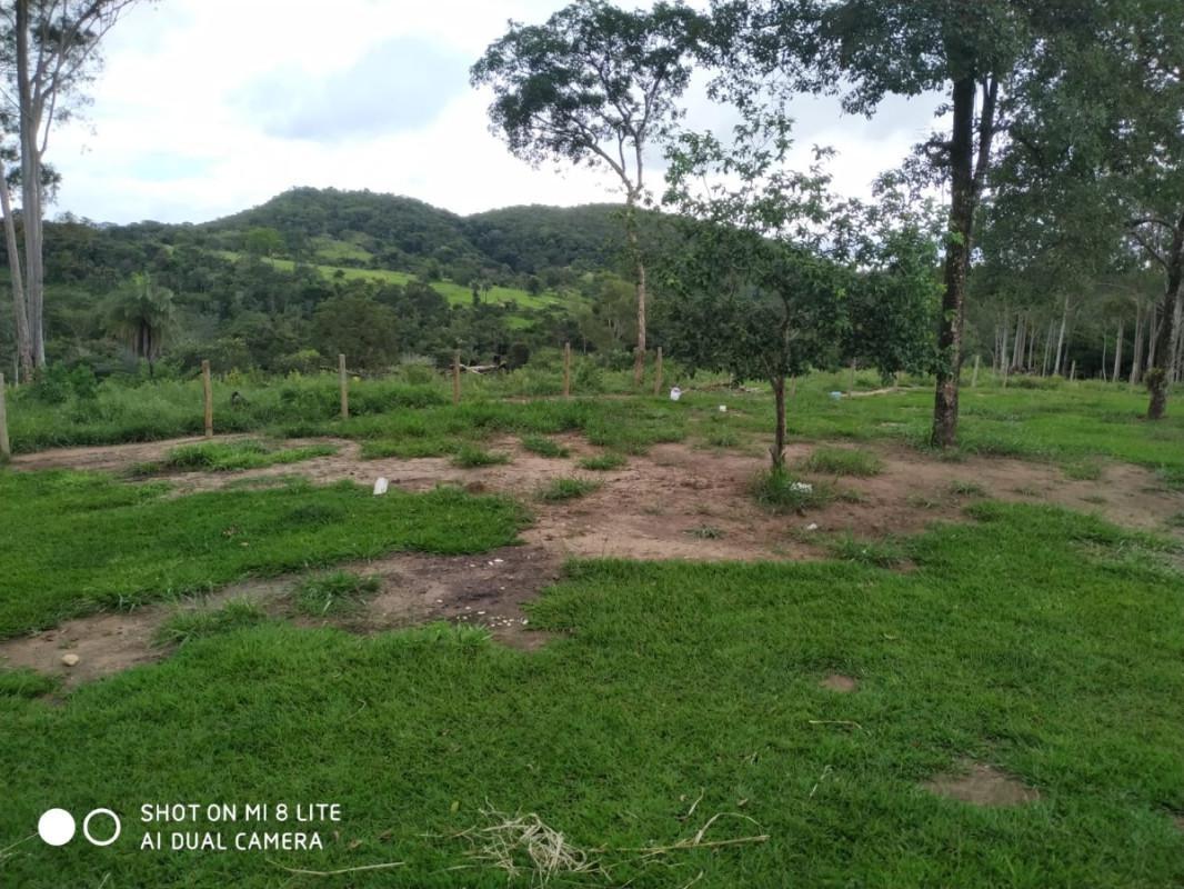 Fazenda, Centro, 0 Quarto, 0 Vaga