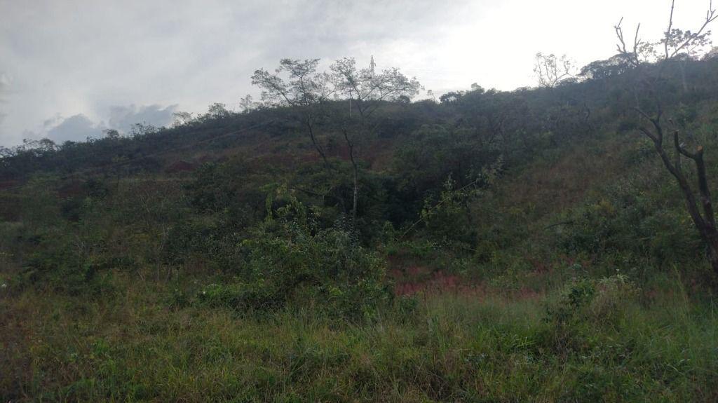 Lote, Paciência, 0 Quarto, 0 Vaga