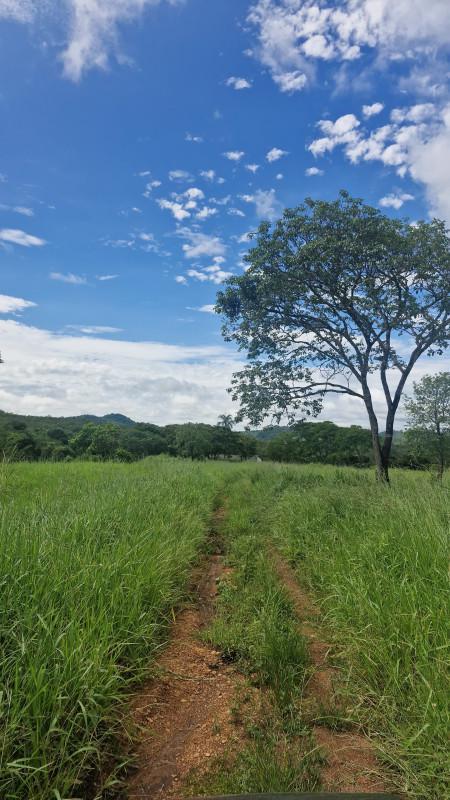 Fazenda, Centro, 0 Quarto, 0 Vaga
