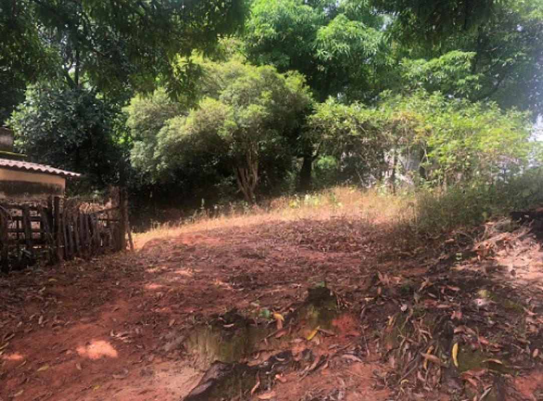 Lote, Borges, 0 Quarto, 20 Vagas