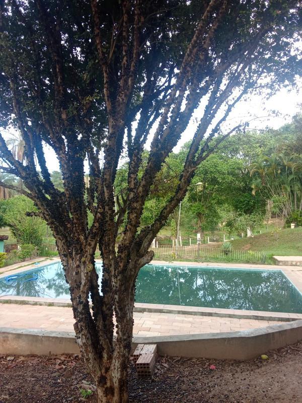 Fazenda, Santo Afonso, 6 Quartos, 10 Vagas