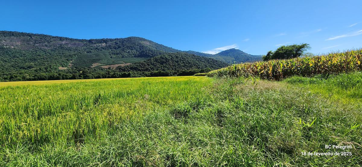 Fazenda, Zona Rural, 1 Quarto, 1 Vaga, 1 Suíte