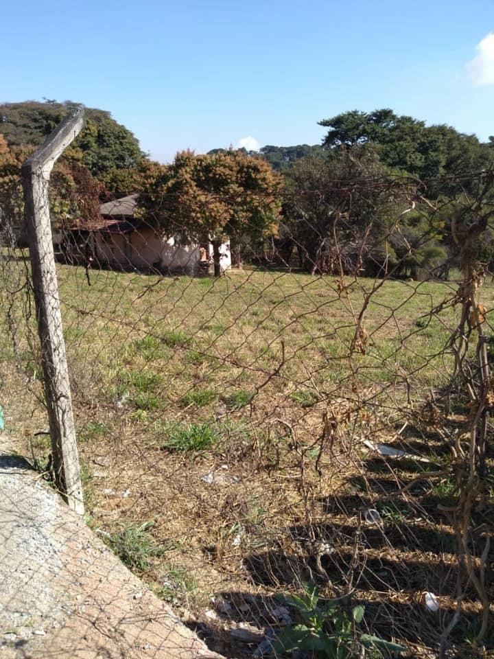 Lote, Juliana, 0 Quarto, 0 Vaga