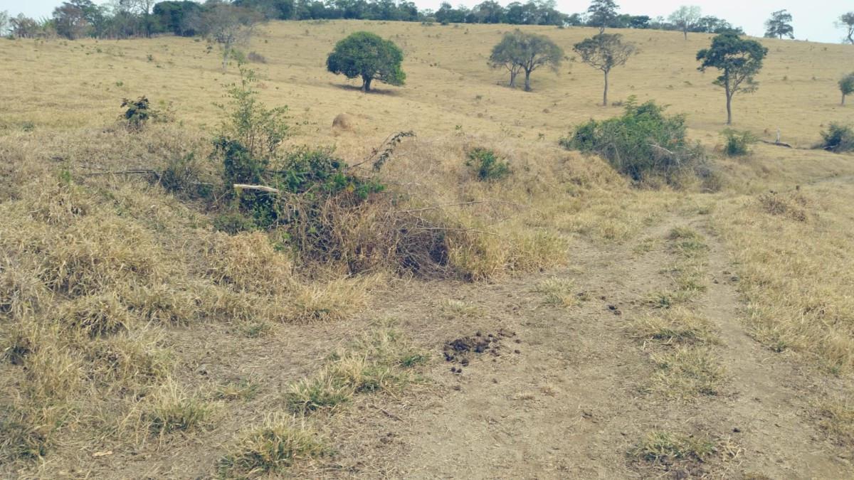 Fazenda, Zona Rural, 0 Quarto, 0 Vaga