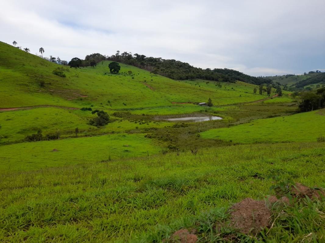 Fazenda, Zona Rural, 8 Quartos, 0 Vaga