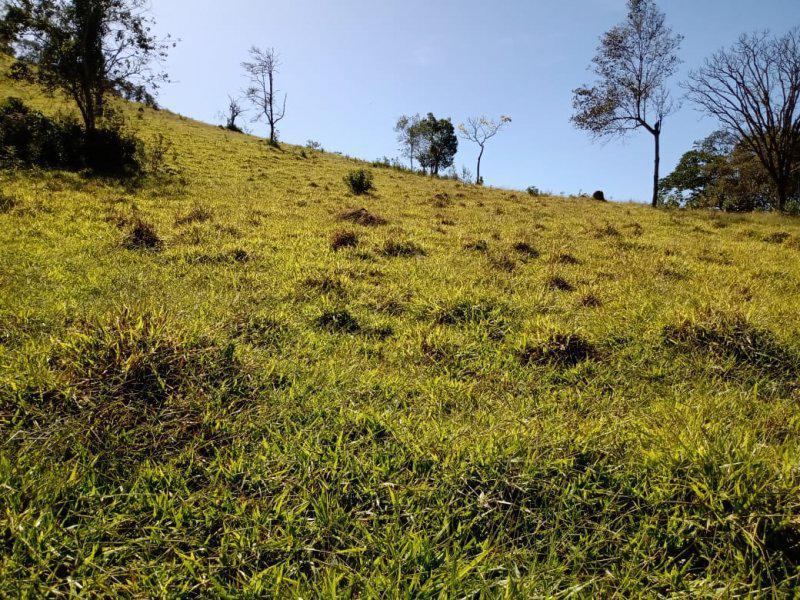 Lote, Centro, 0 Quarto, 0 Vaga