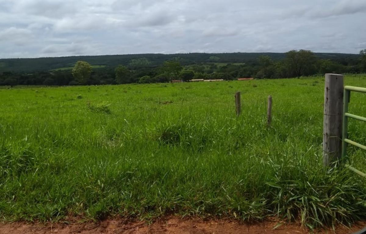 Fazenda, Zona Rural, 0 Quarto, 0 Vaga, 5 Suítes