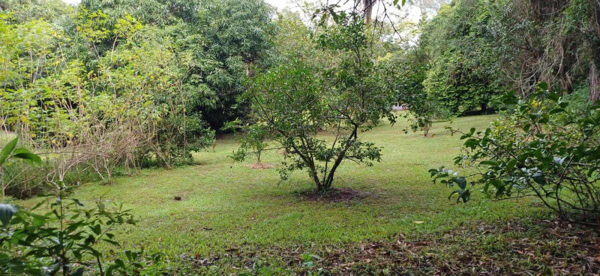 Fazenda, Bambus, 3 Quartos, 10 Vagas