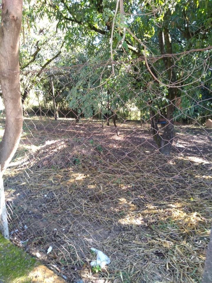 Lote, Juliana, 0 Quarto, 0 Vaga