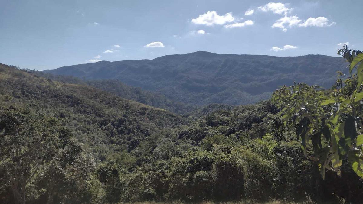 Lote, Santo Antônio do Salto, 0 Quarto, 0 Vaga