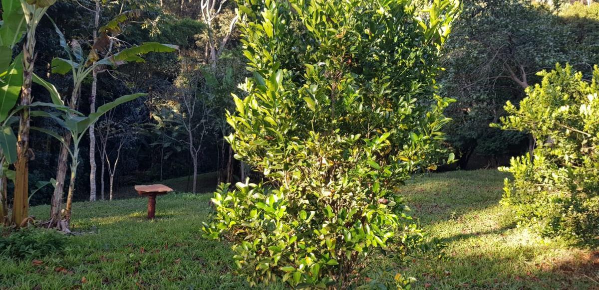 Fazenda, Souza, 3 Quartos, 20 Vagas, 1 Suíte