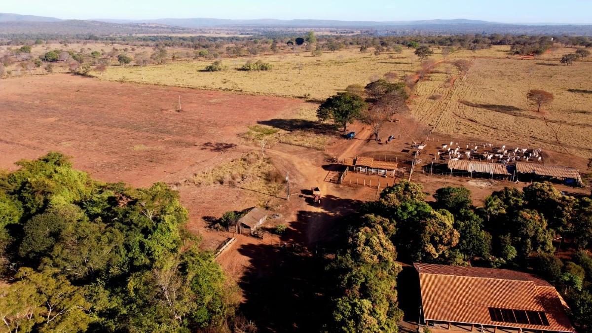 Fazenda, Zona Rural, 0 Quarto, 0 Vaga, 5 Suítes