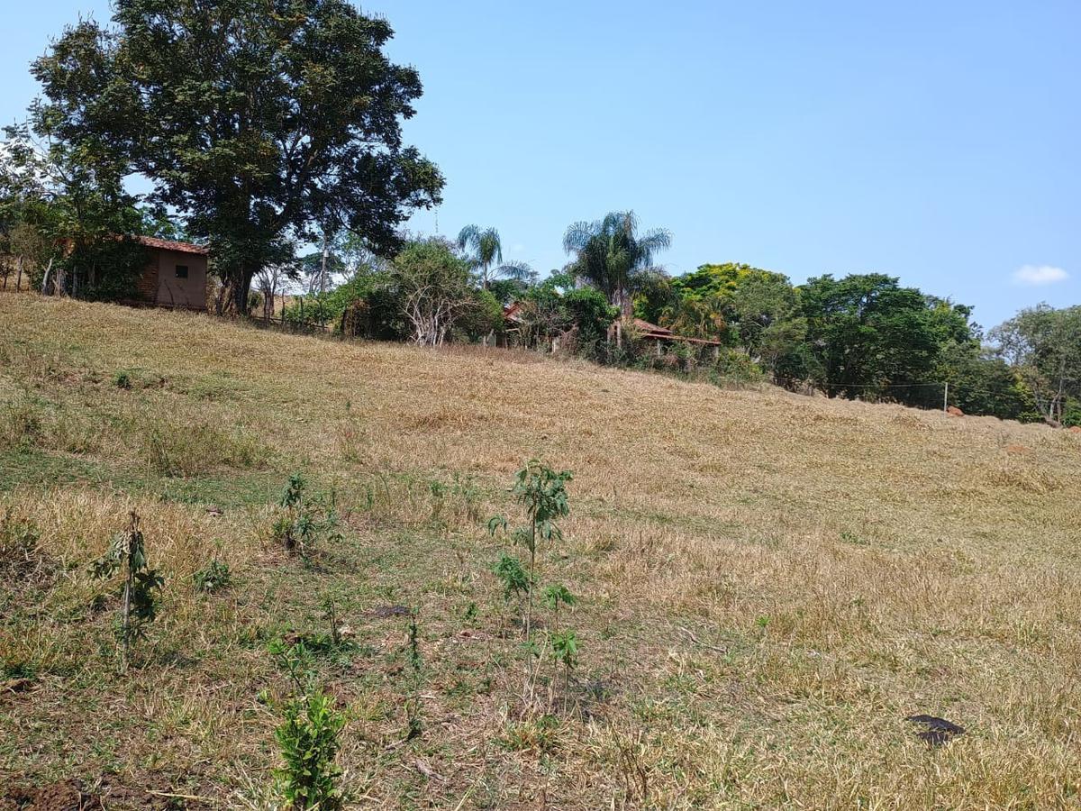 Fazenda, Centro, 3 Quartos, 10 Vagas, 1 Suíte