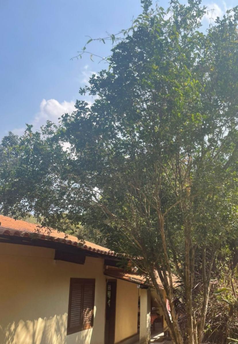 Fazenda, Centro, 4 Quartos, 10 Vagas