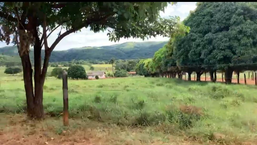 Fazenda, Zona Rural, 7 Quartos, 0 Vaga