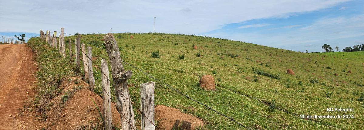 Fazenda, Zona Rural, 0 Quarto, 0 Vaga