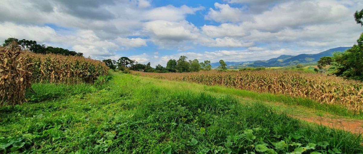 Lote, Centro, 4 Quartos, 2 Vagas