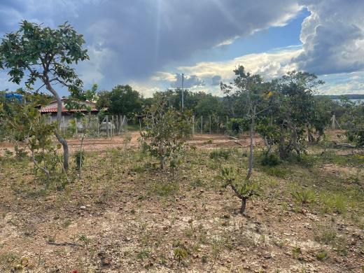 Lote, São Jose de Almeida, 0 Quarto, 0 Vaga