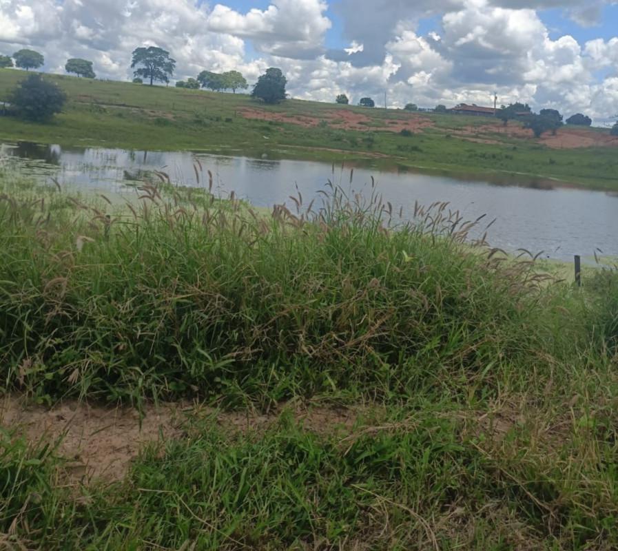 Fazenda, Zona Rural, 0 Quarto, 0 Vaga