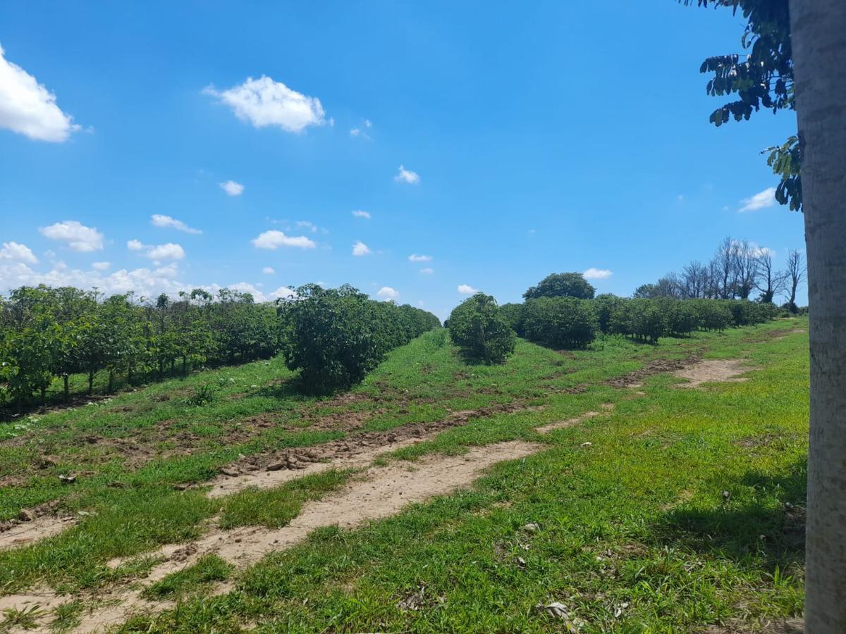Fazenda, Centro, 1 Quarto, 1 Vaga, 1 Suíte