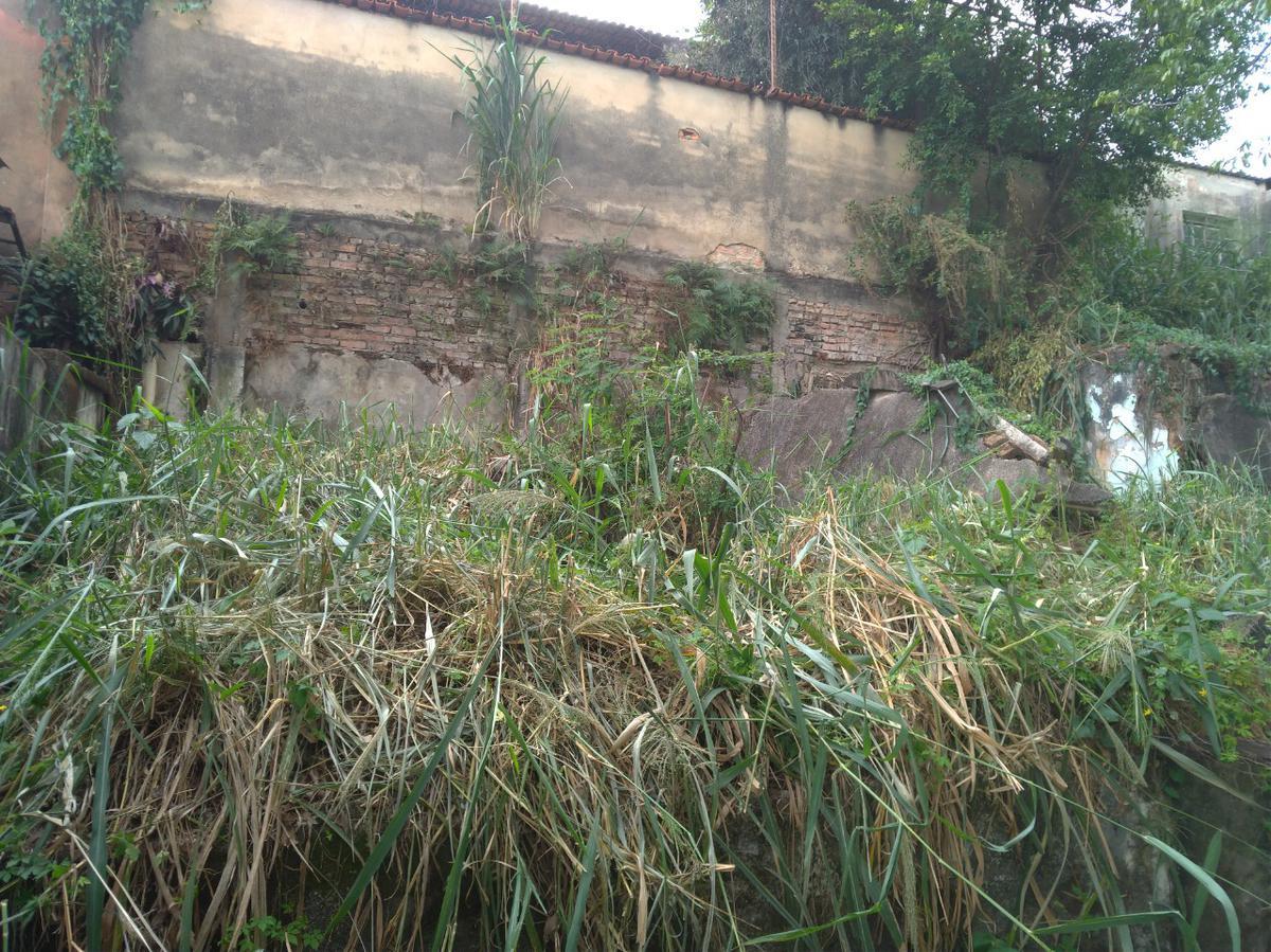 Lote, Graça, 0 Quarto, 0 Vaga