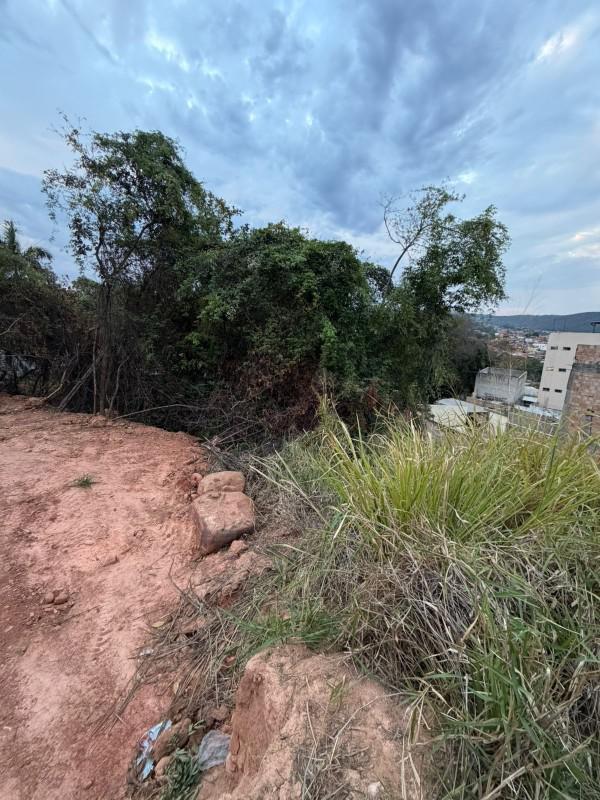 Lote, Liberdade, 0 Quarto, 0 Vaga