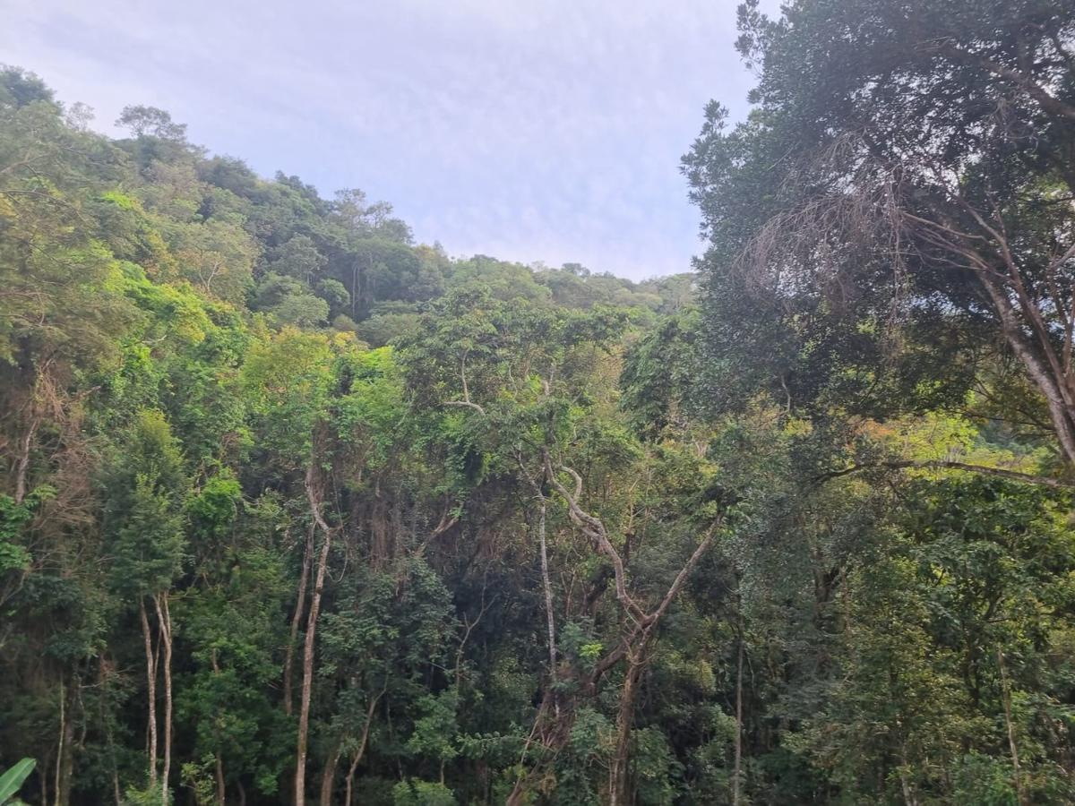 Casa, São Sebastião das Águas Claras, 4 Quartos, 6 Vagas, 2 Suítes