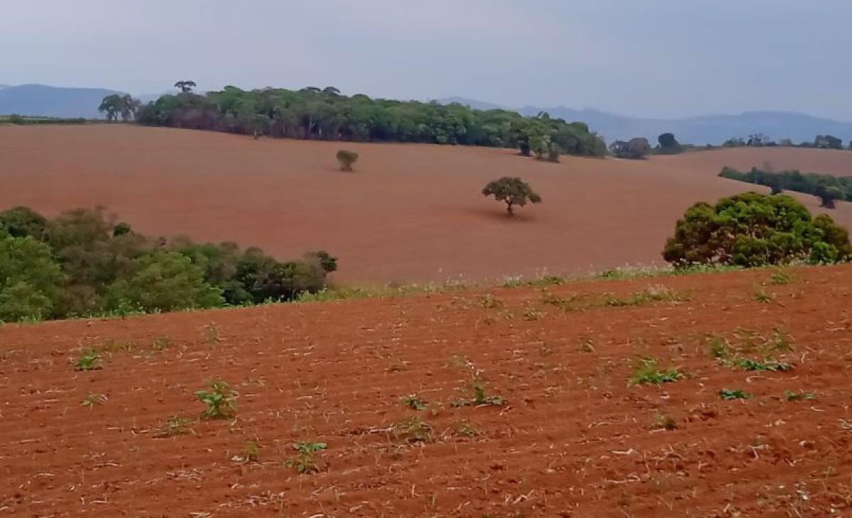Fazenda, Zona Rural, 0 Quarto, 0 Vaga