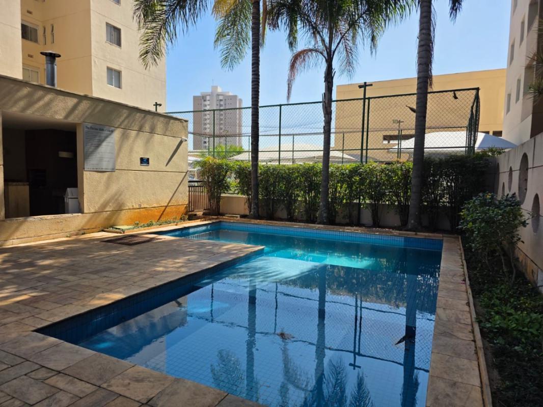 Apartamento, Castelo, 3 Quartos, 2 Vagas, 1 Suíte