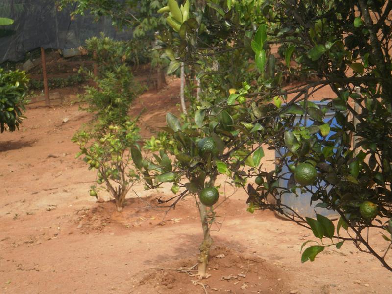 Fazenda, São José, 2 Quartos, 0 Vaga, 2 Suítes