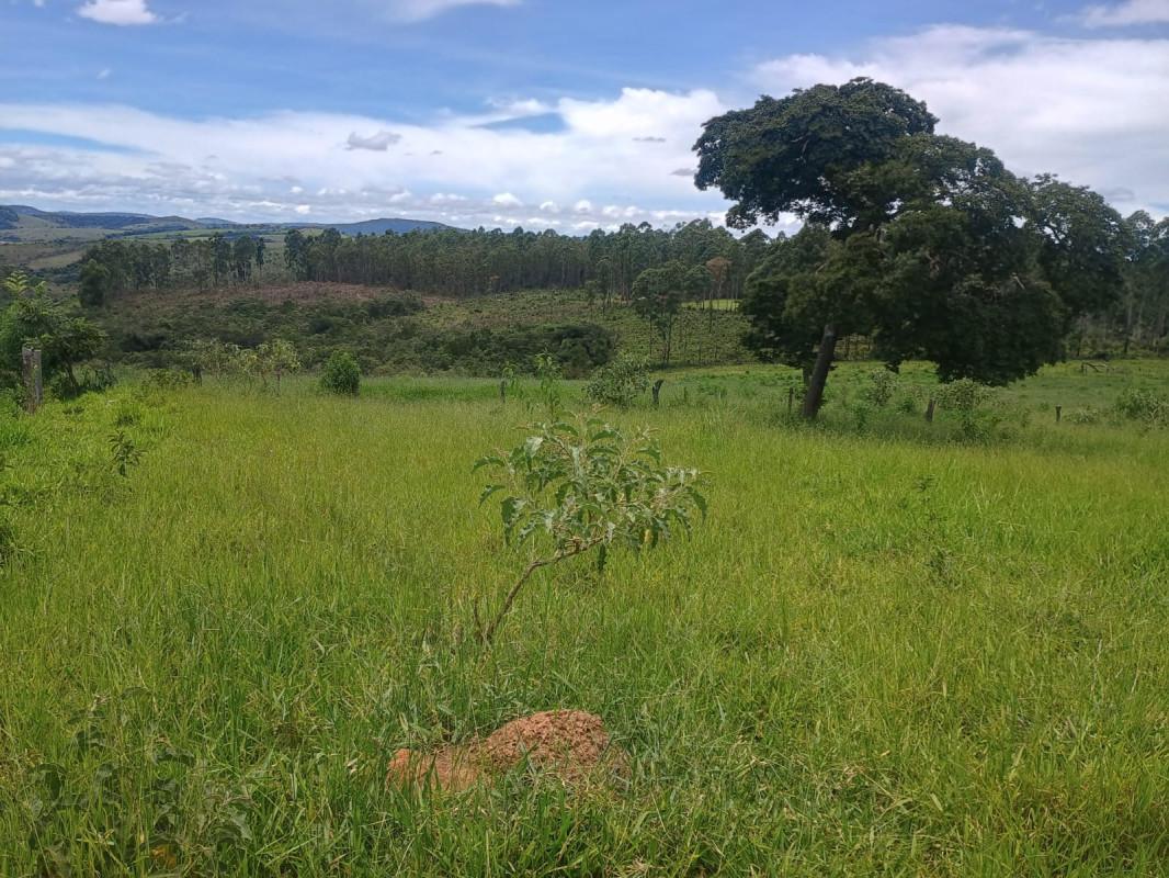 Fazenda, Zona Rural, 0 Quarto, 0 Vaga