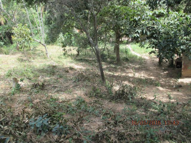 Lote, Centro