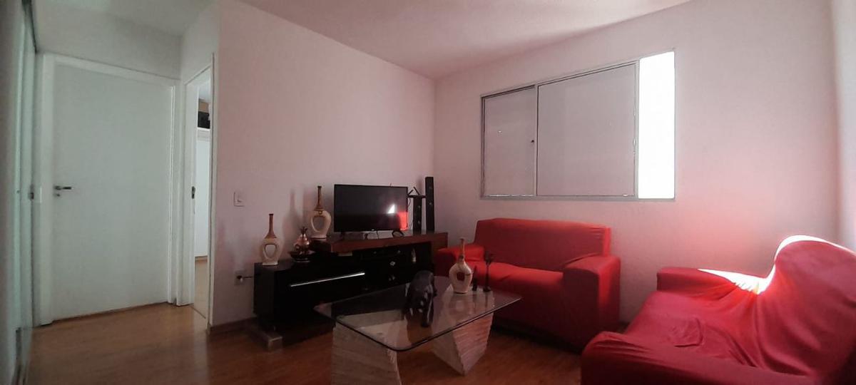 Apartamento, Santa Amélia, 2 Quartos, 1 Vaga, 0 Suíte