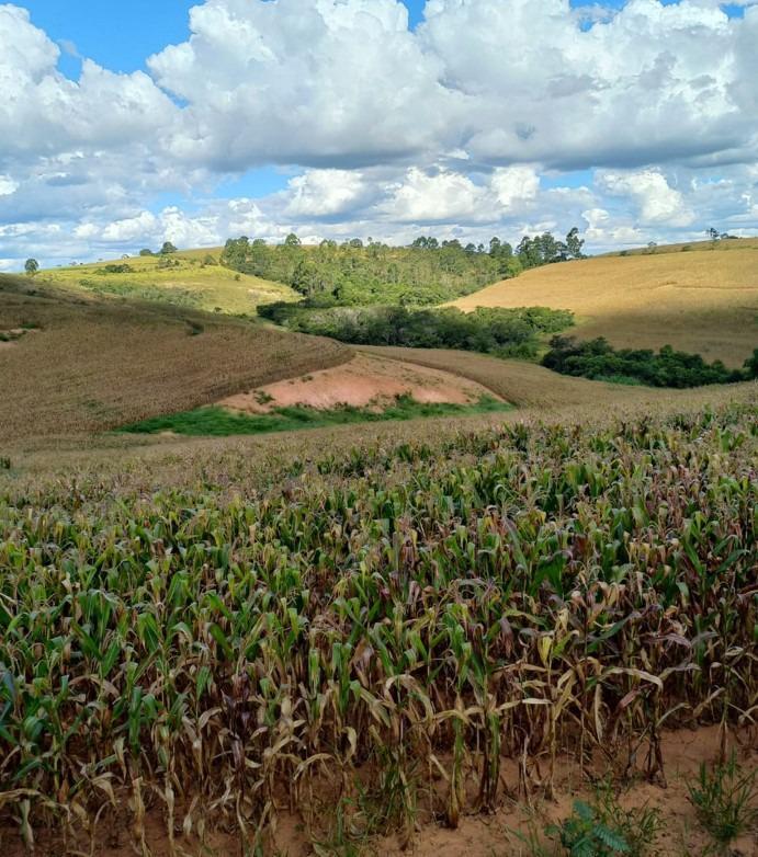 Fazenda, Centro, 3 Quartos, 0 Vaga