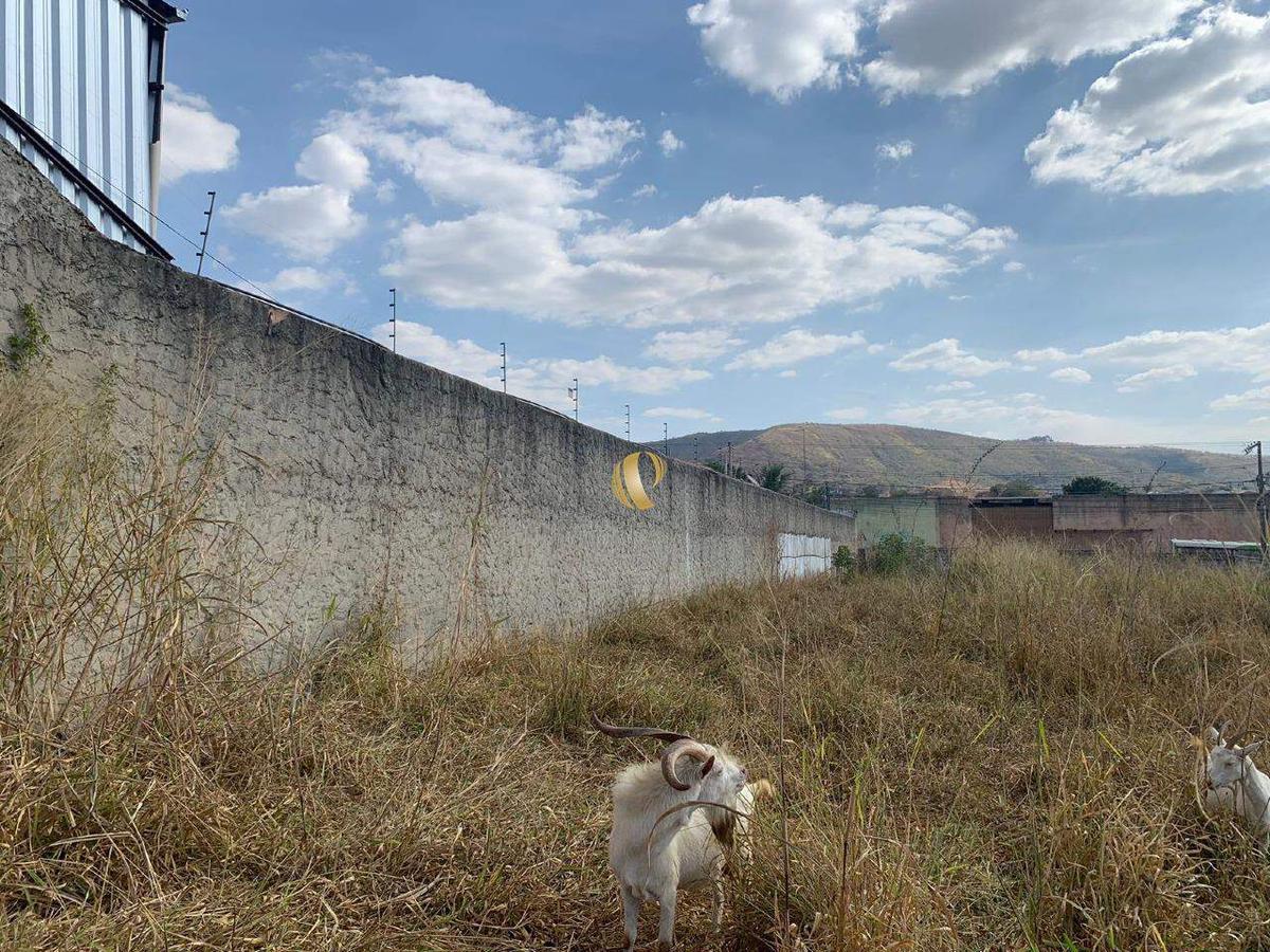 Lote, Centro, 0 Quarto, 0 Vaga