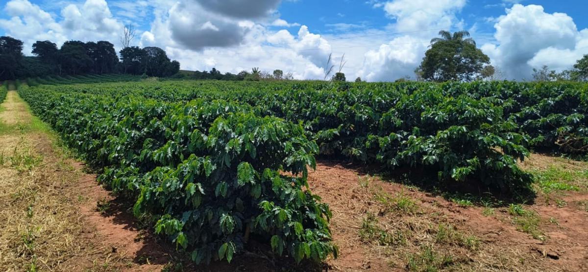 Fazenda, Zona Rural, 0 Quarto, 0 Vaga