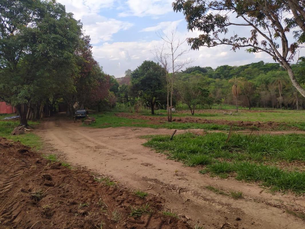 Lote, Bandeirinhas, 0 Quarto, 10 Vagas