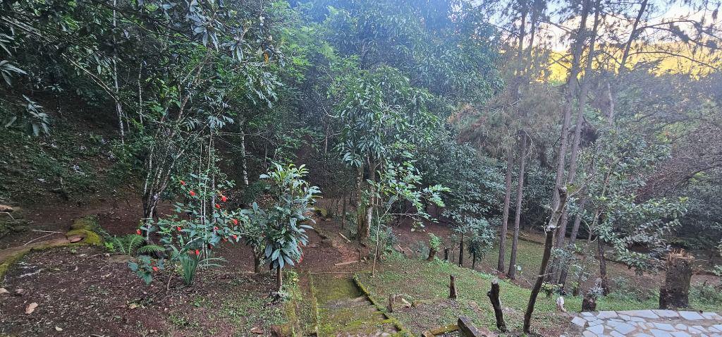 Fazenda, Morro da Cruz, 4 Quartos, 0 Vaga