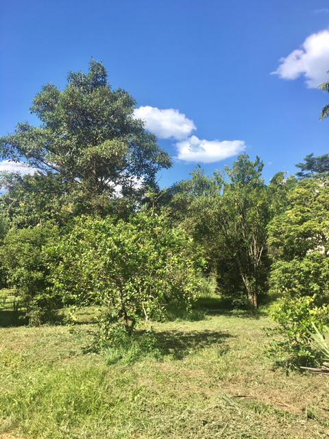 Lote, Paciência, 0 Quarto, 0 Vaga