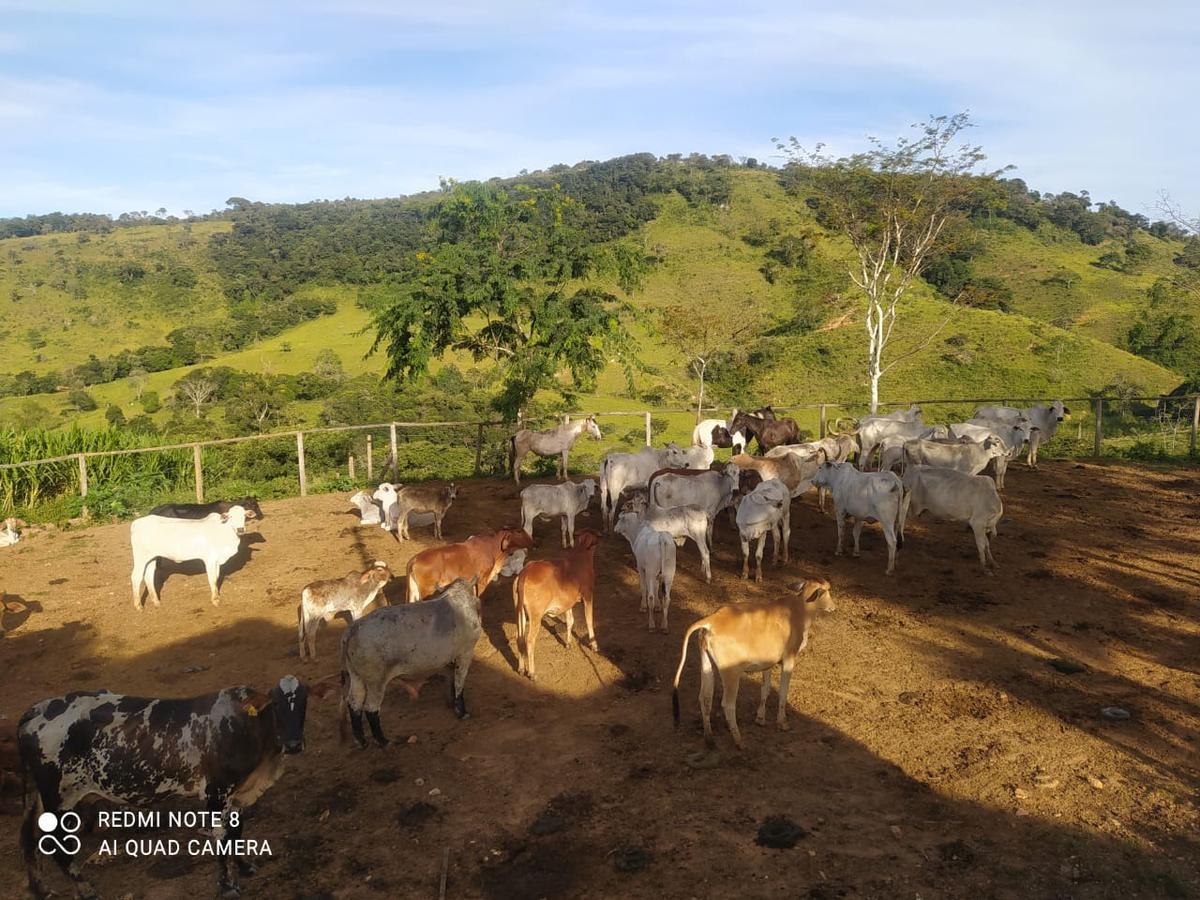Fazenda, Zona Rural, 3 Quartos, 0 Vaga