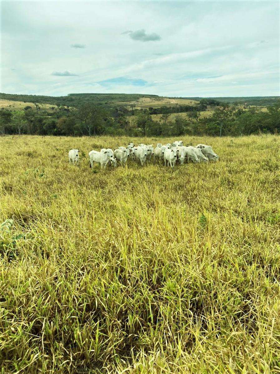Fazenda, Centro, 4 Quartos, 2 Vagas