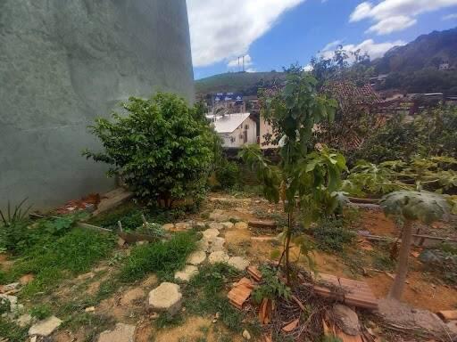 Lote, Centro, 0 Quarto, 0 Vaga