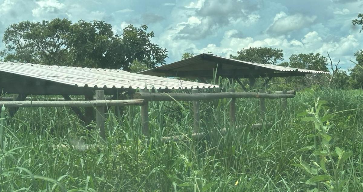 Fazenda, Zona Rural, 0 Quarto, 0 Vaga