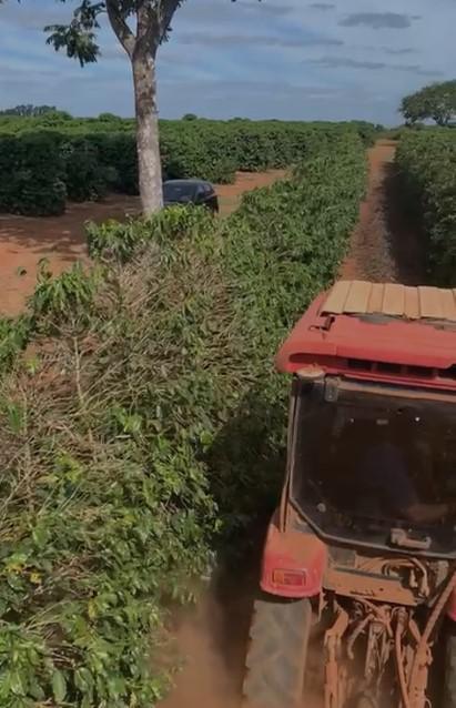 Fazenda, Zona Rural, 0 Quarto, 0 Vaga