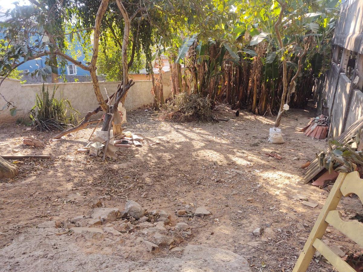 Lote, Novo Progresso, 0 Quarto, 0 Vaga