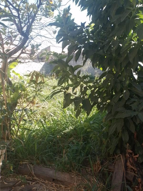 Casa, Monte Verde, 3 Quartos, 3 Vagas